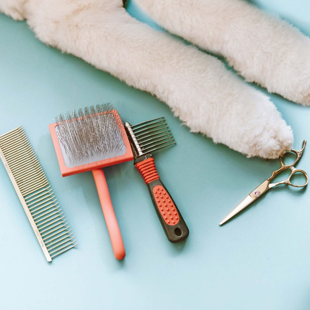 Image of dog grooming tool and the legs of a white poodle taken.